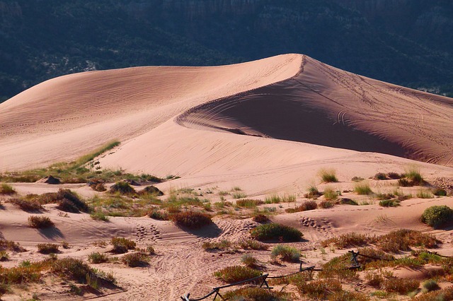 púšť.jpg