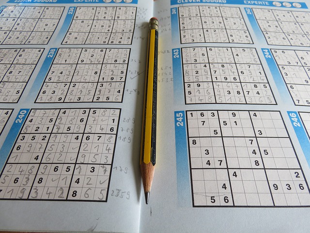 časopis Sudoku.jpg