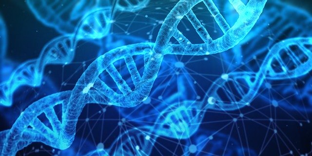 špirály DNA.jpg