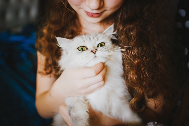 mačka a dievča.jpg