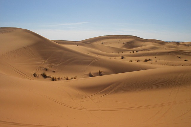 Saharská púšť.jpg